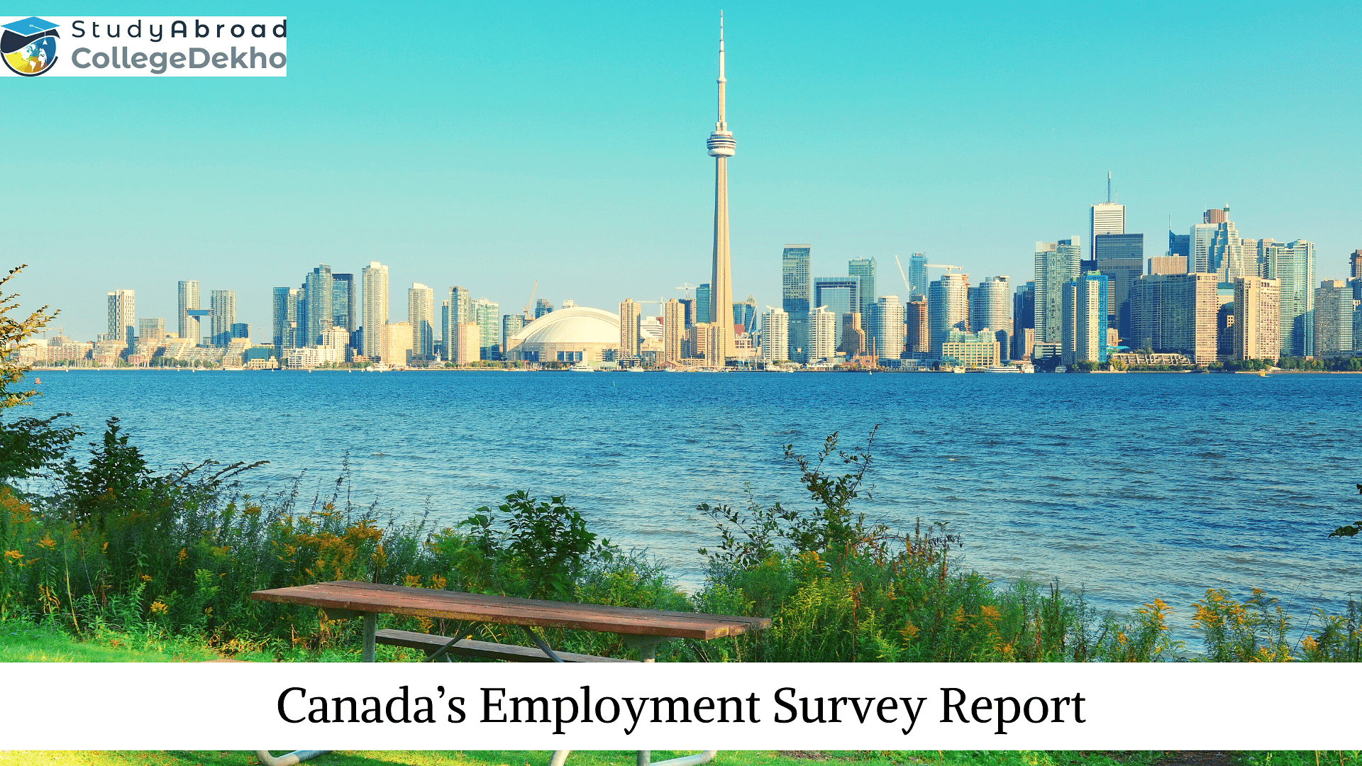 Canada’s Employment Survey Report