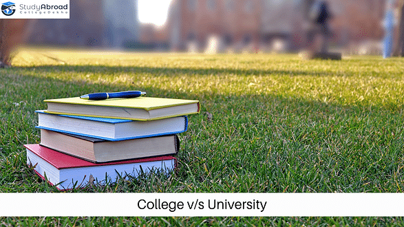 What is the Difference Between College and University?