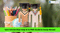 20 Crore Scholarship Budget Allocated to SC, PWD Students Last Year to Study Abroad