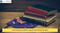 International Student Hub in NSW Launched