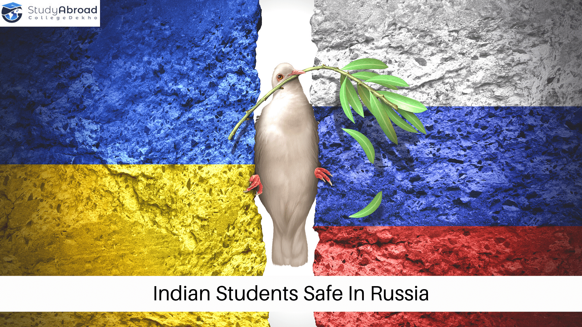 Indian Students In Russia