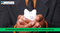 Applications Invited for KC Mahindra Education Trust Scholarships for Masters Abroad