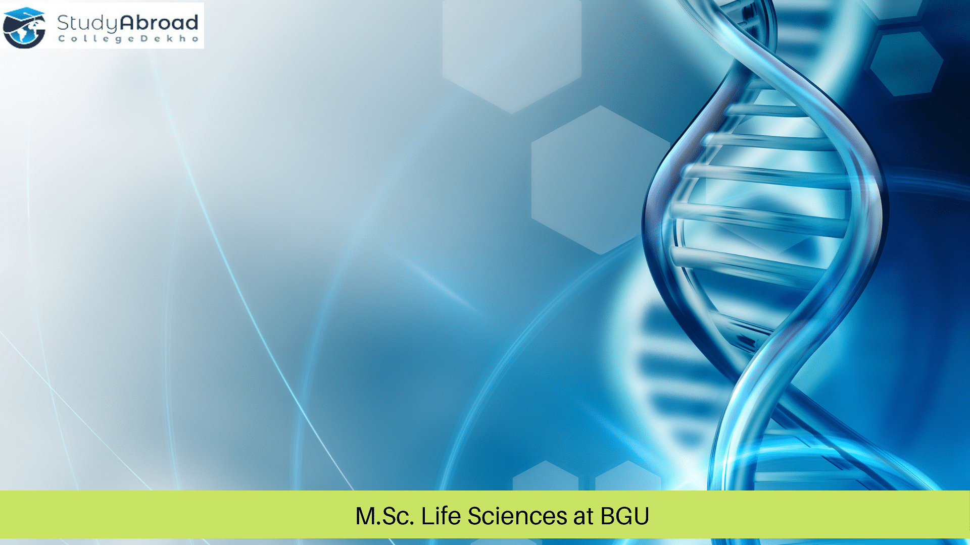 M.Sc. Life Sciences at BGU