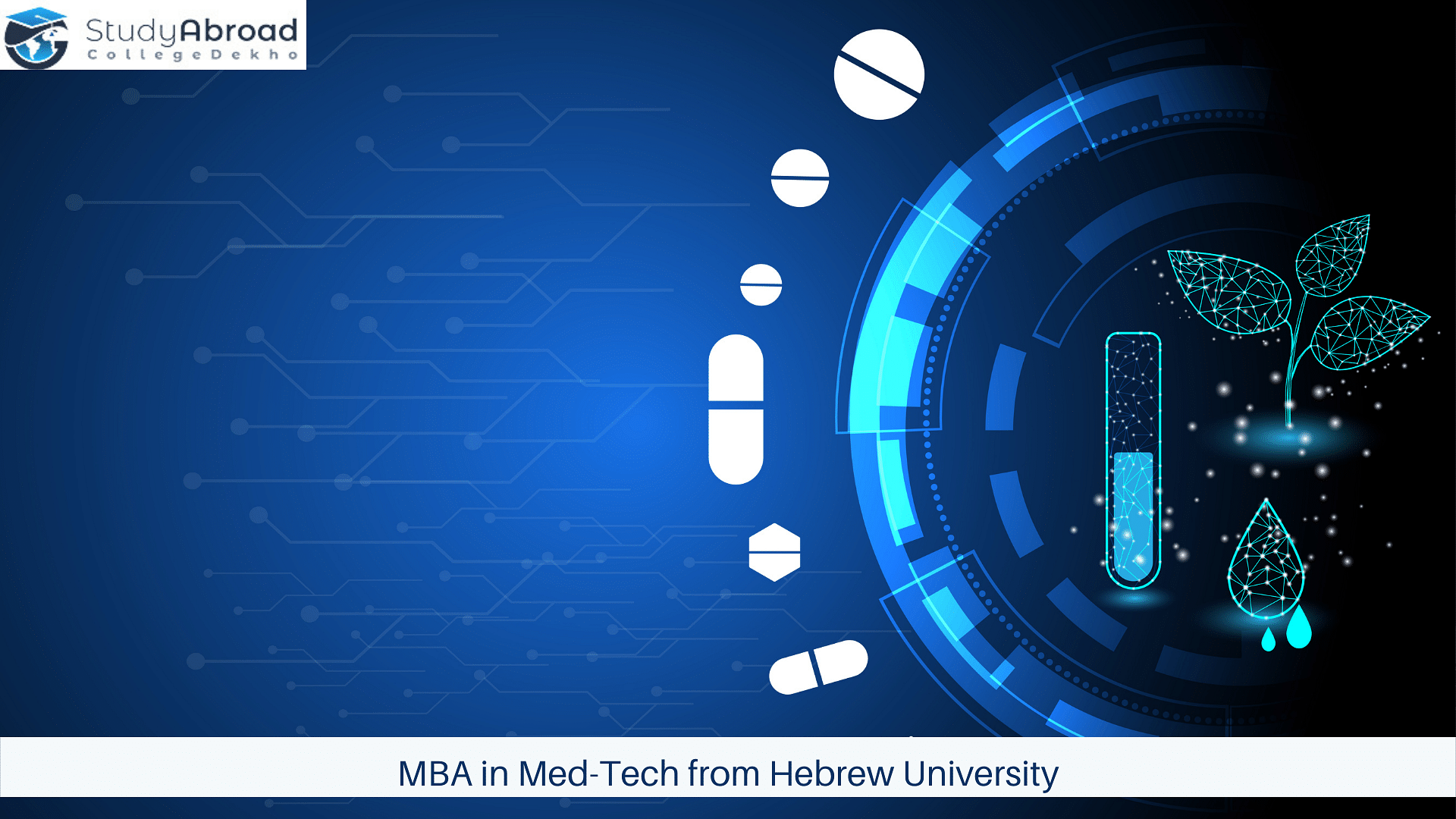 MBA in Med-Tech from Hebrew University of Jerusalem
