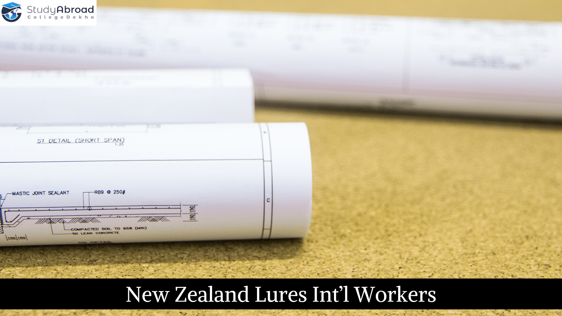 New Zealand Lures Int’l Workers