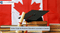 Online Portal for Business Education in Canada launched by BSAC