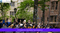 Princeton, Yale to Go Test Optional for Another Year