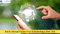 Top Indian Government Scholarships for Studying Abroad After 12th