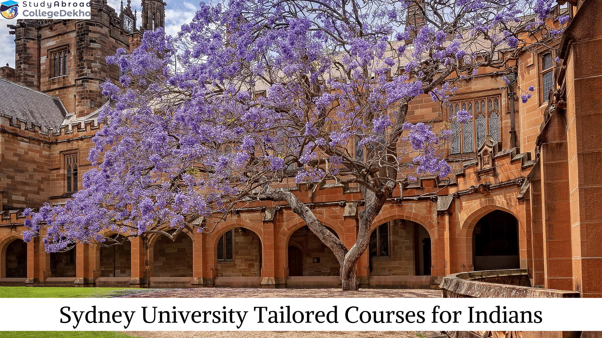 Sydney University Tailored Courses for Indians