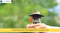 Need an Education Loan? Here Are Some Quick Tips Before You Apply