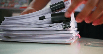 International Student Enrolment Numbers