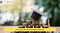Apply for Université de Paris’ MIEM Excellence Scholarship by Feb 1, 2021