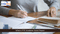 PTE Score Chart 2023: What is PTE Academic Score Report?
